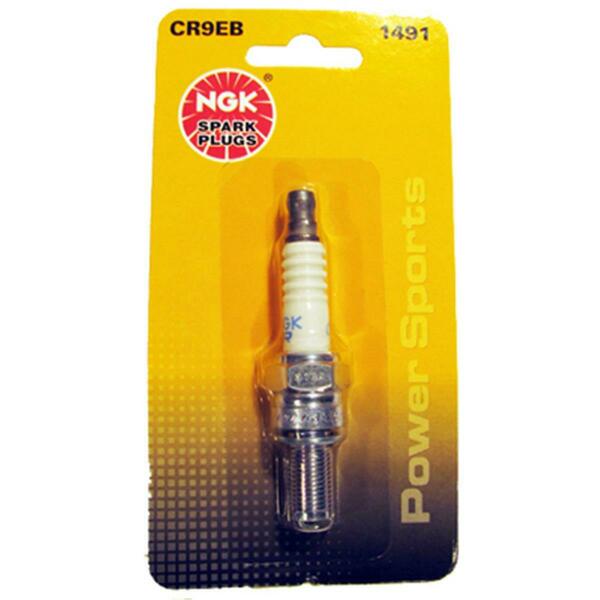 Ngk Cr9eb Blyb Spark Plug, 6PK 163505